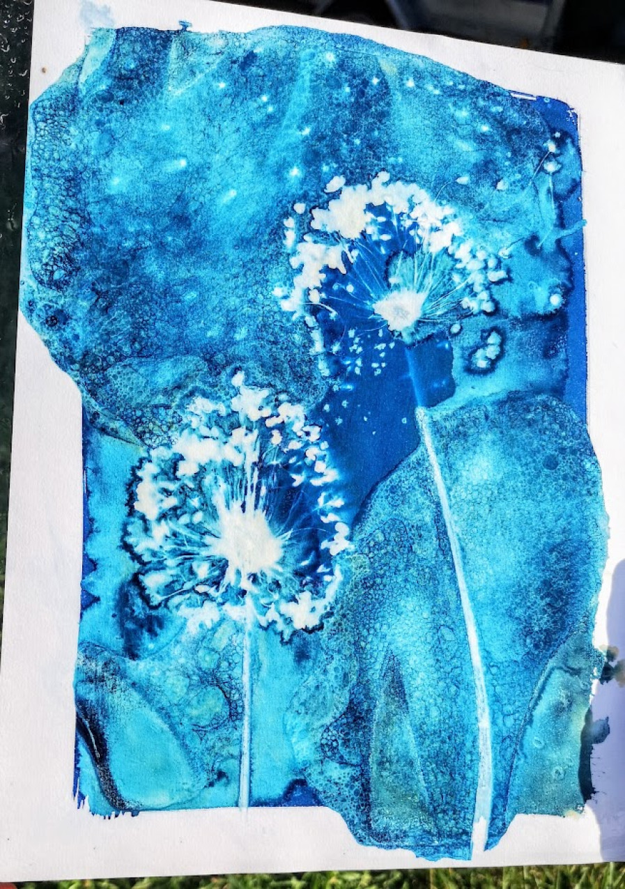 Cyanotype_amalgamecreation.jpg